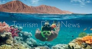 غالبية فنادق ومراكز الغوص في مصر تطبق ممارسات صديقة للبيئة