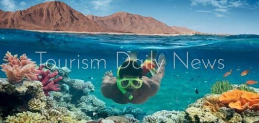 غالبية فنادق ومراكز الغوص في مصر تطبق ممارسات صديقة للبيئة