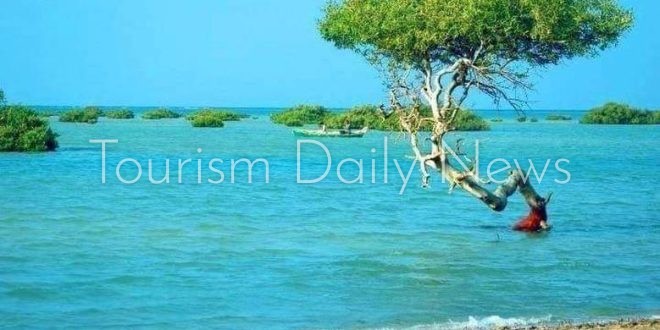 محمية وادي الجمال شواطئ بكر وكنوز بحرية نادرة تجذب السياح الأوروبيين
