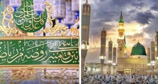 موسم ذروة العمرة والحج .. استعدادات أمنية داخل المسجد النبوي والروضة