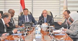 الحكومة تدرس إنشاء كيان استثماري لدعم توسع الشركات المصرية في أفريقيا