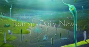 الصين تكشف عن طيف متنوع من أشكال الحياة الحيوانية بالبحار البدائية للأرض