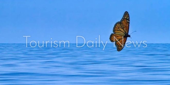 "السيدة المطلية" تطير 4200كيلومتر في رحلة دون توقف فوق الأطلسي عبر 3قارات