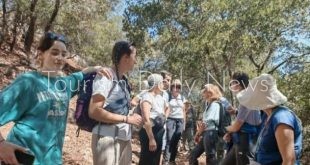 السياحة الداخلية تصل بإشغالات مرافق عجلون إلى 100%