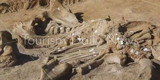 البعثة العلمية تنهي أشغال موسمها الأثري والبيئي بموقع خنكة اكسات بالسمارة