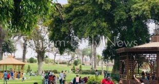 الحكومة تستعد لعيد الأضحى .. طوارئ بالمحافظات وجاهزية المستشفيات والإسعاف
