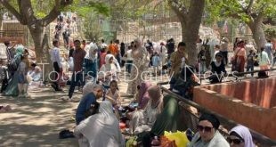 حدائق الحيوان وحديقة الأسماك بالمحافظات