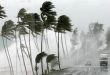 اضطرابات جوية وأمطار رعدية وزوابع رملية في الجزائر