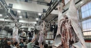 التنمية المحلية تعلن التشغيل التجريبي لمجزر كلح الجبل بمركز إدفو بأسوان