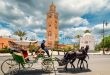 Wego تكشف أبرز اتجاهات السفر الخارجي للمسافرين مع اقتراب عطلة عيد الأضحى