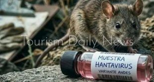 منظمة الصحة العالمية تصدر تحذيرات جديدة للوقاية من تفشي فيروس هانتا
