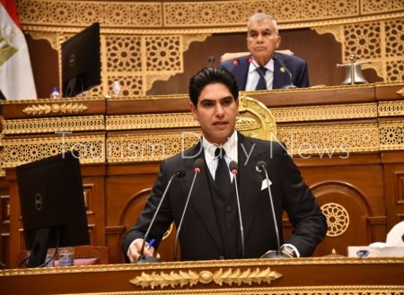النائب أحمد أبو هشيم لجنة الشئون المالية والاقتصادية والاستثمار بمجلس الشيوخ