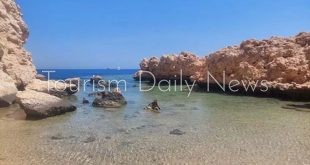 رأس محمد .. جنة الغواصين وسحر الطبيعة الخالدة في قلب البحر الأحمر