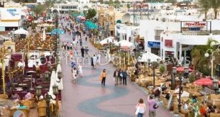 جرين شرم .. خارطة طريق لتحويل شرم الشيخ إلى مدينة خضراء