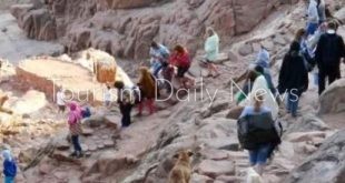 سانت كاترين تستقطب زوارًا من 10 جنسيات تقود لانتعاش المدينة التاريخية