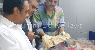 الأجهزة التنفيذية في محافظة الدقهلية تشديد الرقابة على أسواق تداول اللحوم والأسماك