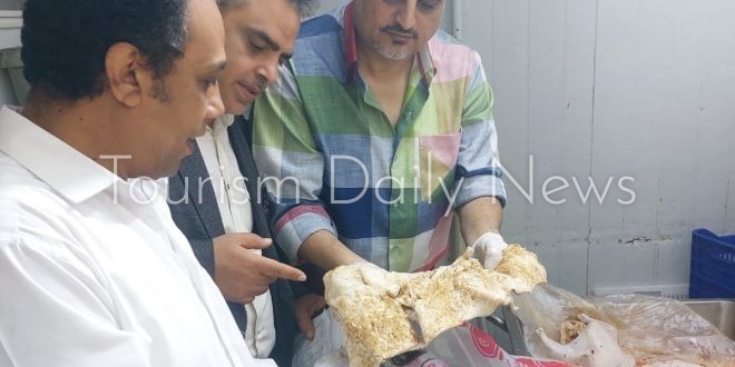 الأجهزة التنفيذية في محافظة الدقهلية تشديد الرقابة على أسواق تداول اللحوم والأسماك