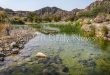 إدراج وادي الوريعة على قائمة اليونسكو يضع قدم الإمارات في السياحة البيئية
