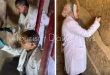 اكتشاف أثري يعزز جاذبية السياحة الثقافية في مصر