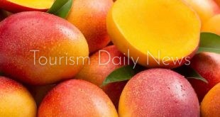 مهرجان المانجو يفتح بوابة جديدة للسياحة الزراعية والاستثمار في مصر