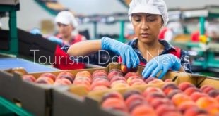 تضخم الغذاء يضغط على السياحة العالمية.. الفنادق والمطاعم أمام فاتورة جديدة