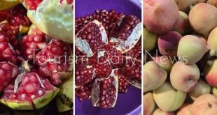 رمان الطائف .. من ذهب المزارع إلى بوابة جديدة للسياحة الزراعية