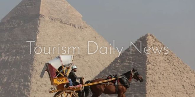 نيفيرا مصر مشروع سياحي ضخم يعيد رسم خريطة الاستثمار حول الأهرامات والمتحف