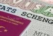 تأشيرة ألمانيا تعلن مسار أسرع أمام رجال الأعمال وتسهيلات تنعش سفر الأتراك