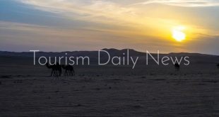 غروب نجران تجربة سياحية تجمع سحر الربع الخالي بقصور طينية ومزارع النخيل