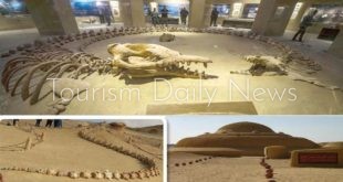 إحتفاظ وادي الحيتان بمكانته العالمية كنز الفيوم يفتح فرصًا للسياحة البيئية