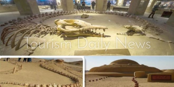 إحتفاظ وادي الحيتان بمكانته العالمية كنز الفيوم يفتح فرصًا للسياحة البيئية
