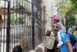 حديقة الحيوان تستعد لعودة تاريخية بمعايير عالمية لرسم خريطة الترفيه