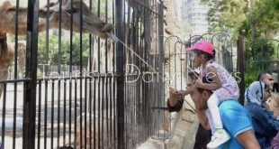 حديقة الحيوان تستعد لعودة تاريخية بمعايير عالمية لرسم خريطة الترفيه