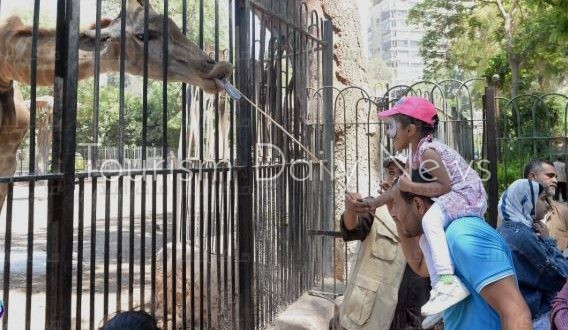 حديقة الحيوان تستعد لعودة تاريخية بمعايير عالمية لرسم خريطة الترفيه