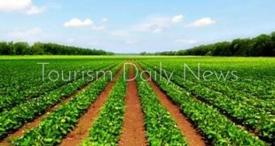 الزراعة تفتح باب الاستثمار في السياحة البيئية والريفية بسهل القاع بسيناء