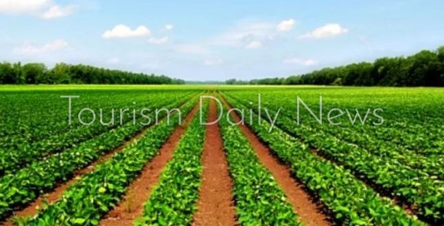 الزراعة تفتح باب الاستثمار في السياحة البيئية والريفية بسهل القاع بسيناء
