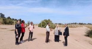 أشجار الغردقة تكشف استثمار بيئي يعزز جاذبية السياحة بالبحر الأحمر