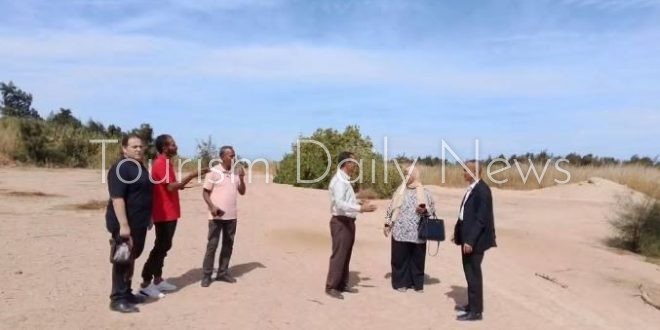 أشجار الغردقة تكشف استثمار بيئي يعزز جاذبية السياحة بالبحر الأحمر